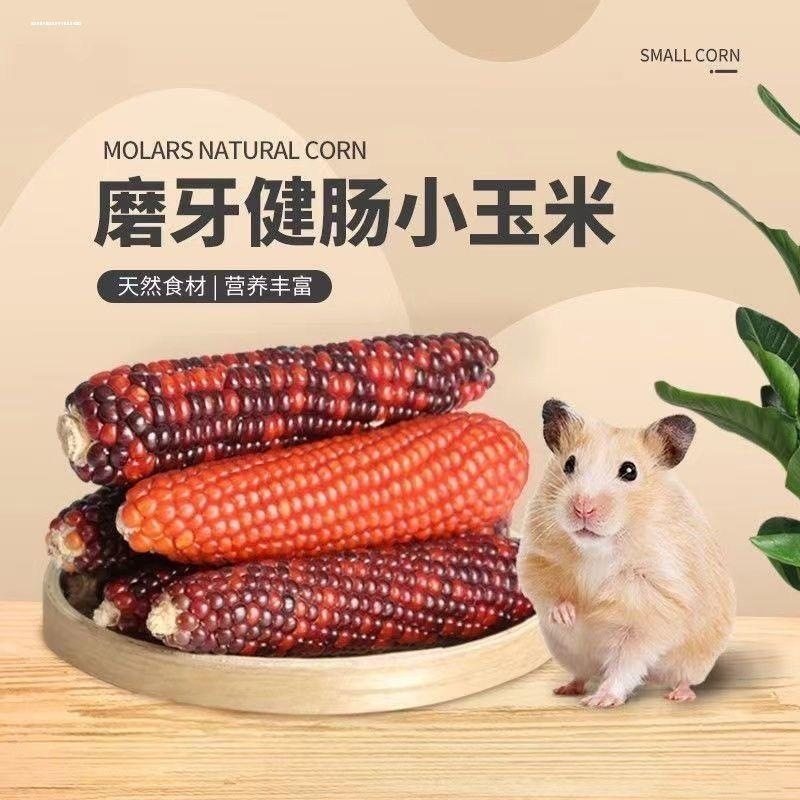仓鼠磨牙小玉米天然包邮鹦鹉红谷穗黄小米穗笼造景装饰摄影杂粮穗