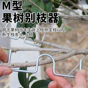 果树压枝神器M型拉枝定型器拉枝压弯侧枝定型枝条固定器别枝器W型