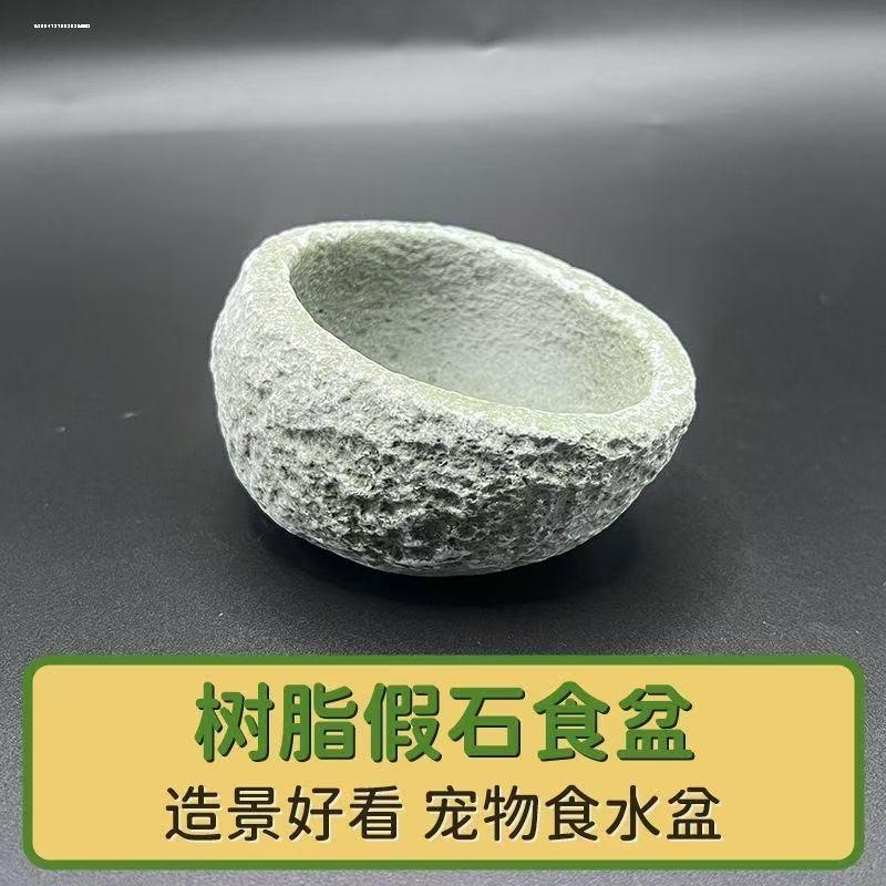 爬宠防逃逸食盆角蛙造景盆寄居蟹