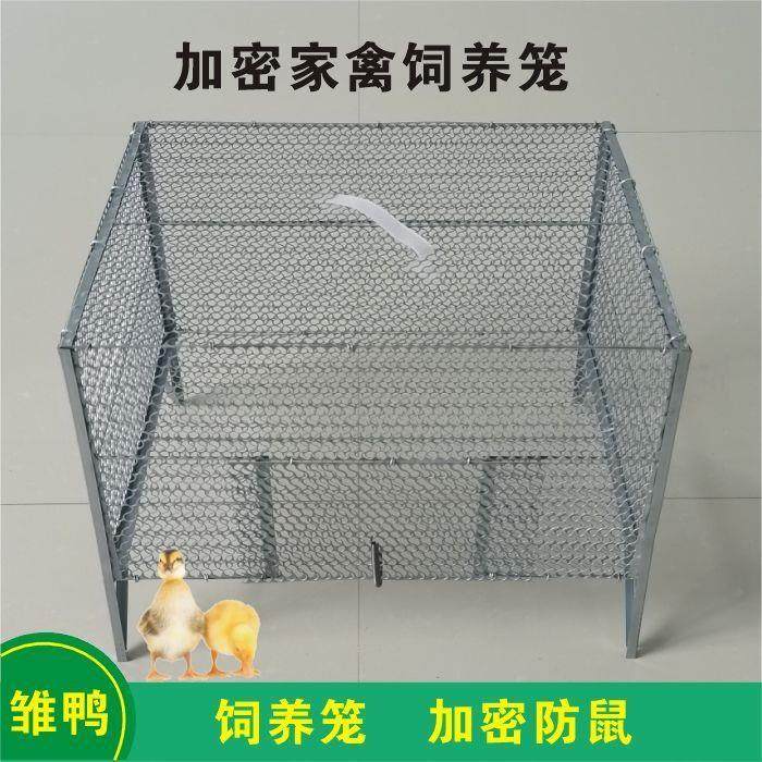 鸡笼小鸡笼子育雏笼家用雏鸡专用笼加密防鼠养鸽子鹌鹑鸟芦丁鸡笼