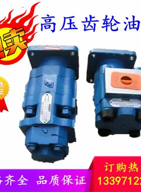 泊姆克齿轮油泵供应 P7600-F100N0367 6G 压路机液压泵厂家