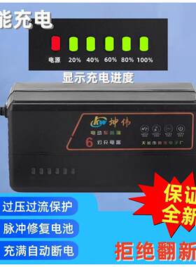 坤伟云智能充电器48V12AH60V20AH72铅酸