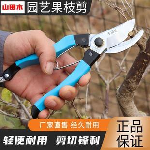 山田木SK5钢园林果树修枝剪园艺粗枝剪花卉花艺修剪树枝专用剪刀