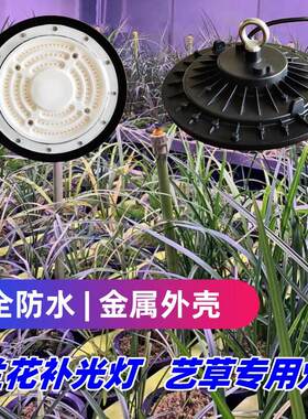 合鸣全防水 50W兰花兰草专用植物补光灯 艺草专用灯 兰棚补光灯