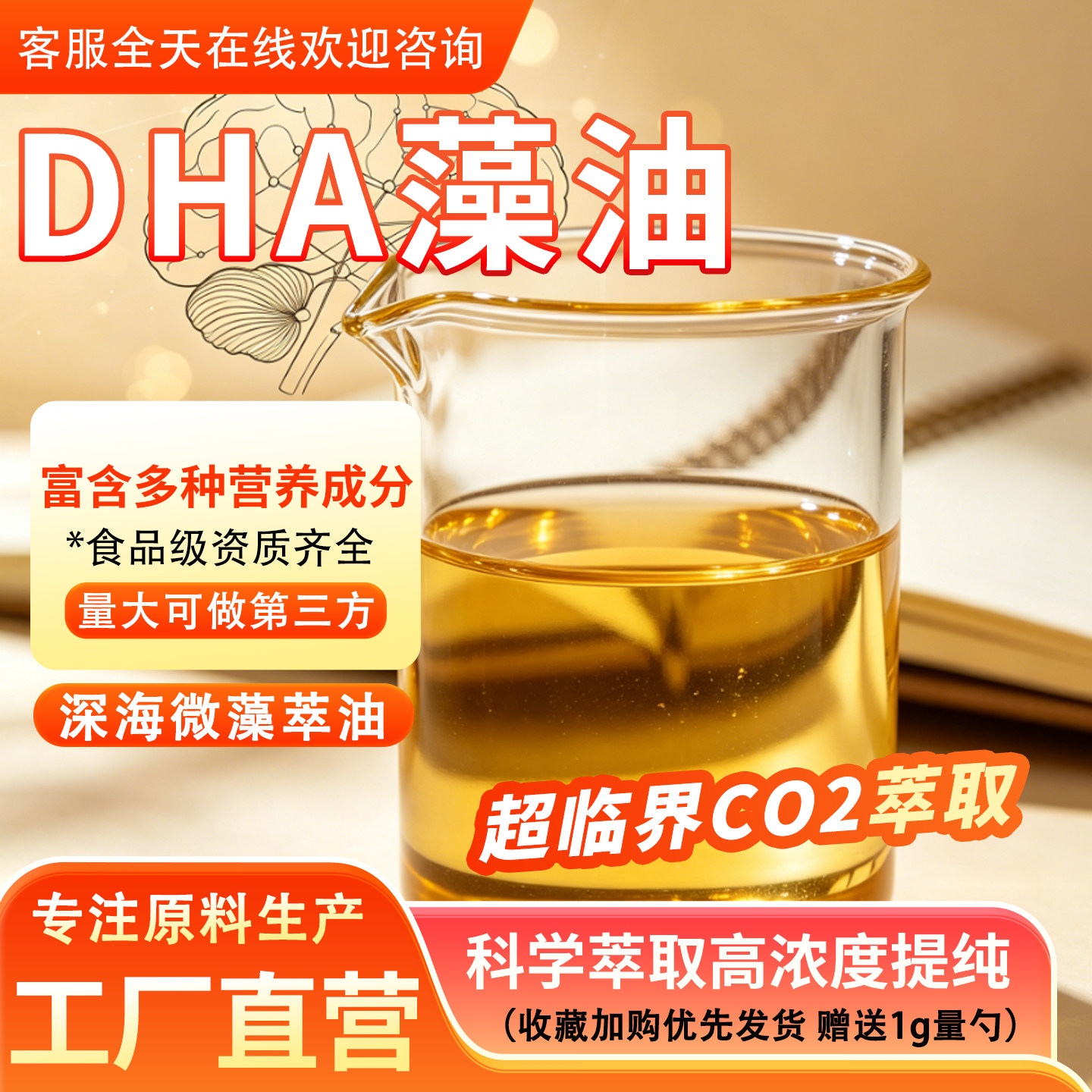 藻油DHA70% 高含量二十二碳六烯酸深海藻油海藻提取物食品级正品