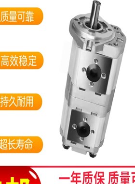 CBWL-E316/E310-CFHL油泵CBWL-E320/E320-AFP 双联泵 洗扫车油泵