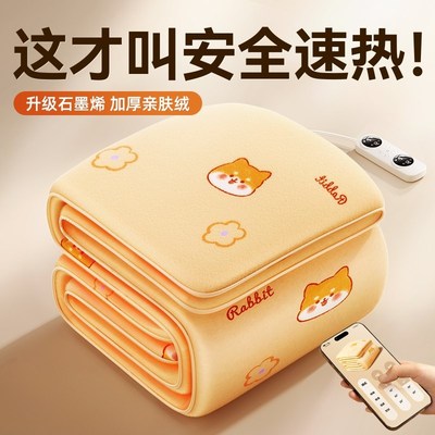 石墨烯电热毯2025新款双人双控调温开关家用自动断电智能电褥子