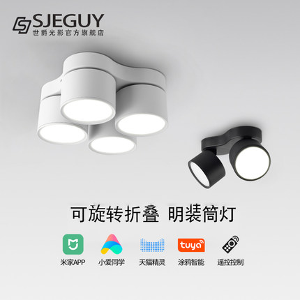 极简家用明装筒灯可调角度客厅无主灯led智能双头四头折叠斗胆灯