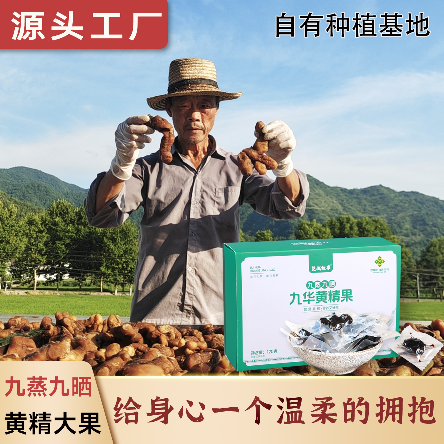 安徽九华黄精果九蒸九晒