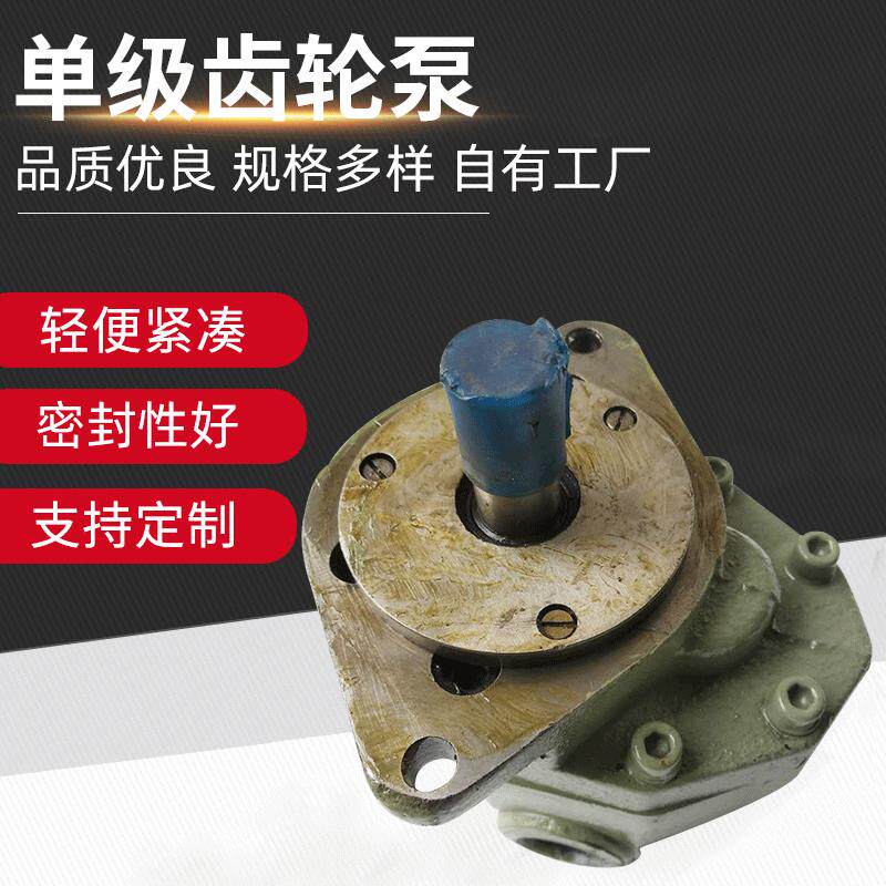 单级齿轮泵边立式不堵塞油泵高压增压铸铁CB-FC25-FL油泵