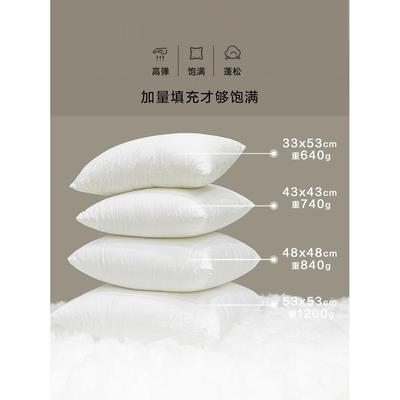 抱枕芯内胆羽丝绒棉布套靠垫芯30 35 45 50 60圆形长方形圆柱枕芯