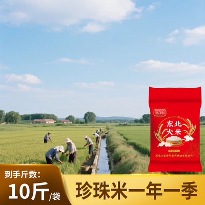 晶泓焰珍珠米10斤装当季新米圆粒米东北大米当季香米鲜稻现磨5kg