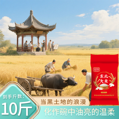 2024年新米上市东北大米10斤装黑龙江黑土地中转大米颗粒饱满5kg