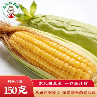 段真空装 东北甜玉米约150克 新鲜鲜甜甜脆黄白糯玉米 晶弘焰