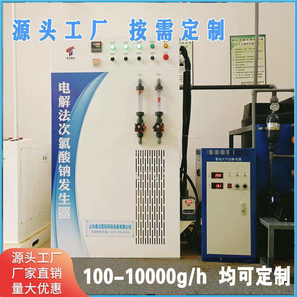 50克 100g电解法次氯酸钠发生器 自来水厂饮用水过滤污水消毒设备