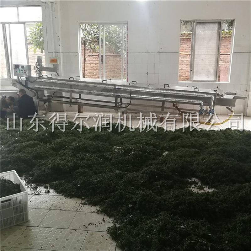 定做型加工 江津青花椒清洗杀青流水线 真空冷藏鲜花椒保鲜设备