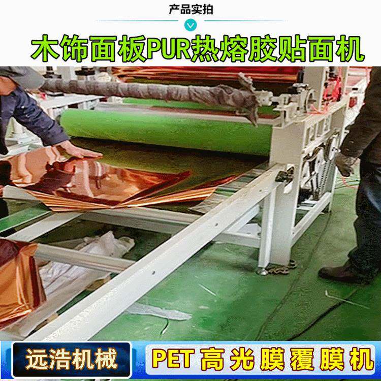 uv胶pet光片贴面机 木饰面大板贴纸机 肤感铝塑板木皮贴片机