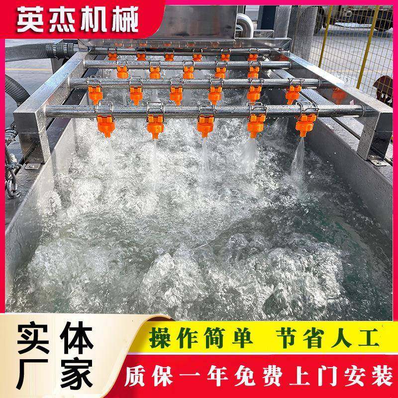 叶菜类蔬菜洗菜机器商用多功能果蔬清洗机不锈钢气泡清洗机厂家