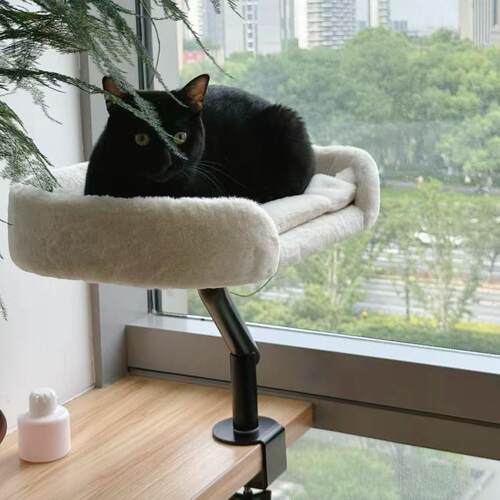 C-Queen/PAWZROAD桌面猫爬架猫窝铁架可旋转调节猫窝毛绒四季可用