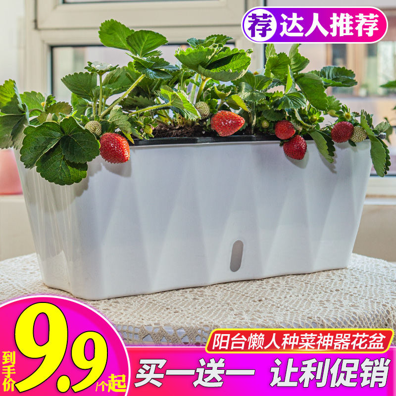自动吸水花盆种菜神器家庭阳台长方形懒人花槽塑料种植箱蔬菜盆栽