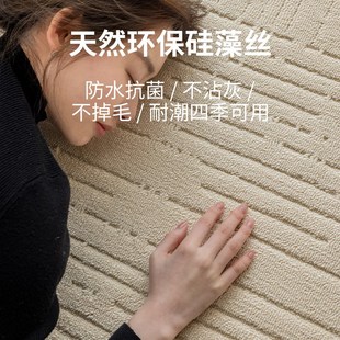 简约奶油风可擦免洗防水高级感卧室沙发地垫 地毯客厅2024新款