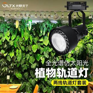 光联天下30W植物生长灯LED轨道射灯全光谱自然光绿植景观墙补光灯