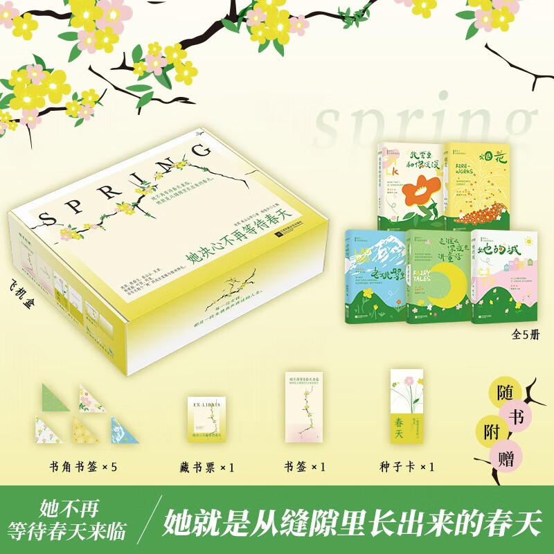 她决心不再等待春天 正版 当代名家小说集5本套 烟花 她的城 老姚驾到 我需要和你谈谈 是谁知深夜里讲童话 池莉阿袁等