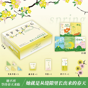 她决心不再等待春天 正版 当代名家小说集5本套 烟花 她的城 老姚驾到 我需要和你谈谈 是谁知深夜里讲童话 池莉阿袁等