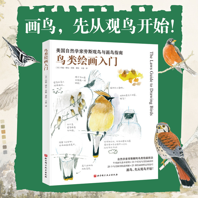 鸟类绘画入门 美国自然学家劳斯观鸟与画鸟指南零基础动物手绘教程鸟类解剖结构速写技法自然观察写生插画爱好者临摹参考