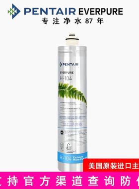 滨特尔爱惠浦净水器H100滤芯H104主滤芯EVP-6000 EVP3000EV961116
