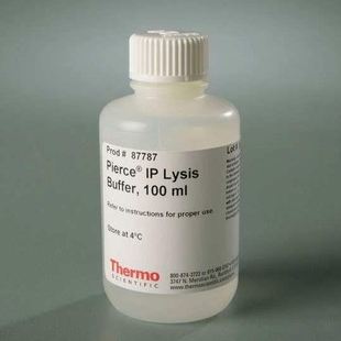 5024A_FRE赛默飞5000系列微粒悬浮液 15ml 240nm 10%固体
