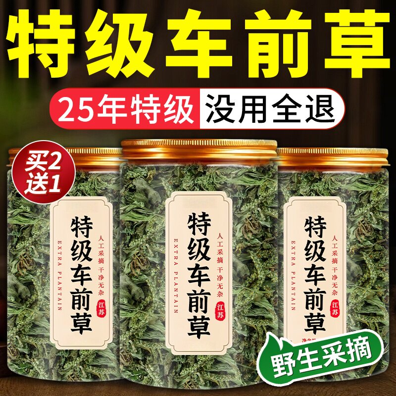车前草中药材正品野生车前草茶泡水喝的功效与作用非野生