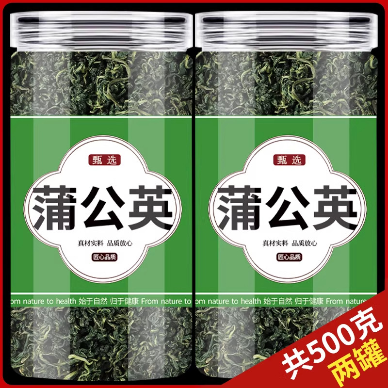 正宗严选蒲公英叶泡水泡茶喝