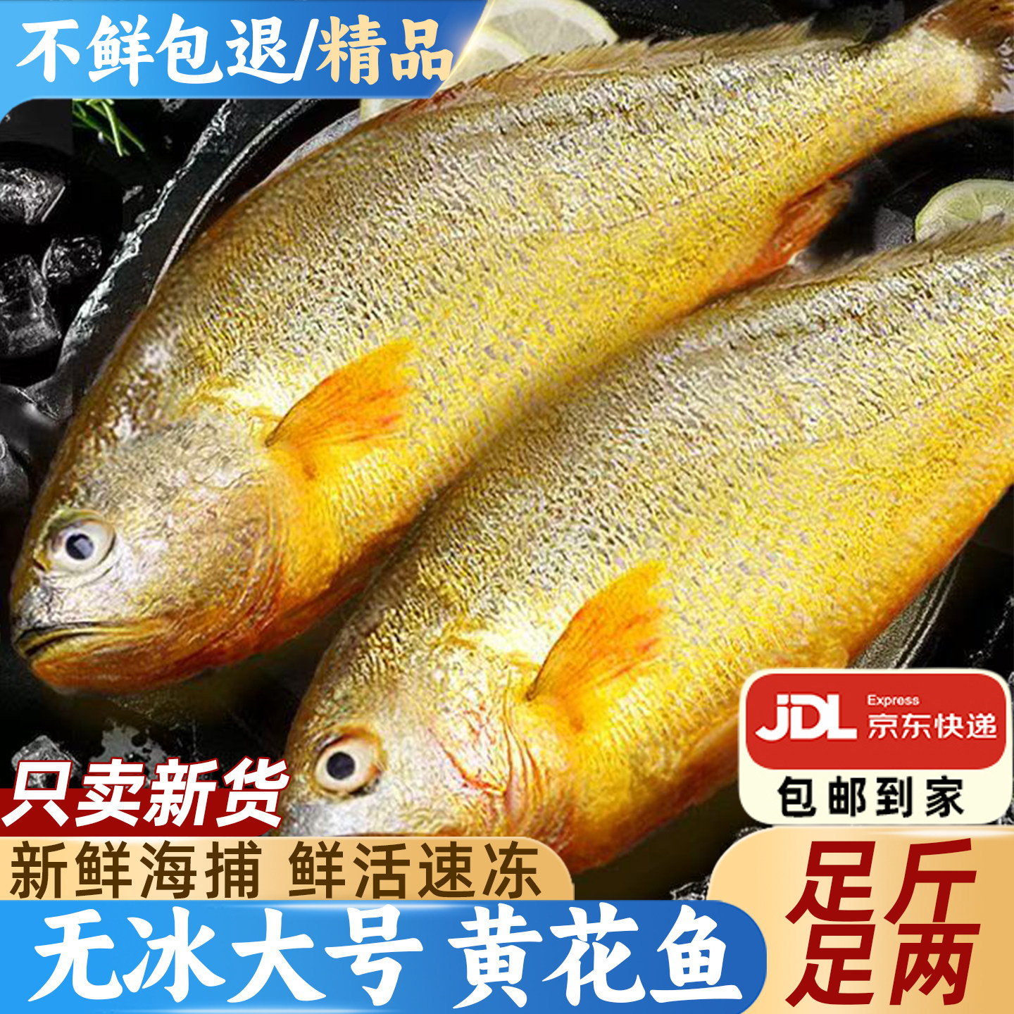 正宗深海大黄鱼新鲜船冻肉质紧实图片