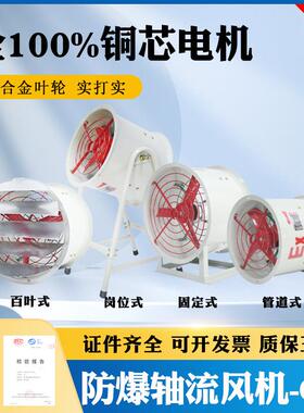 220V380V防爆排风机工业轴流通风机防爆送风机CBF300防爆轴流风机