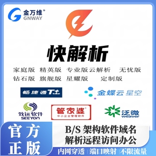 金万维快解析软件商业版专业版云解析nat远程访问穿透内网端口映射金蝶云星空用友T+远程访问域名解析