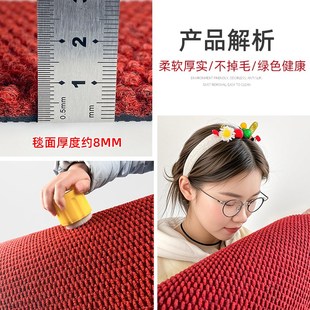 红色入户门地垫高级感进门门垫门外脚垫家用门口进户门室外地毯