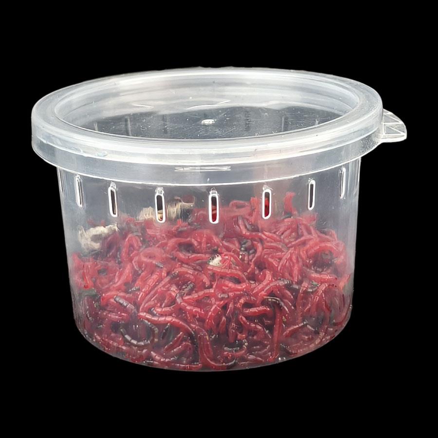 爬虫饲养盒爬宠箱蚕宝宝蜘蛛角蛙虫子蜥蜴蜗牛宠物蛇昆虫饲养圆盒