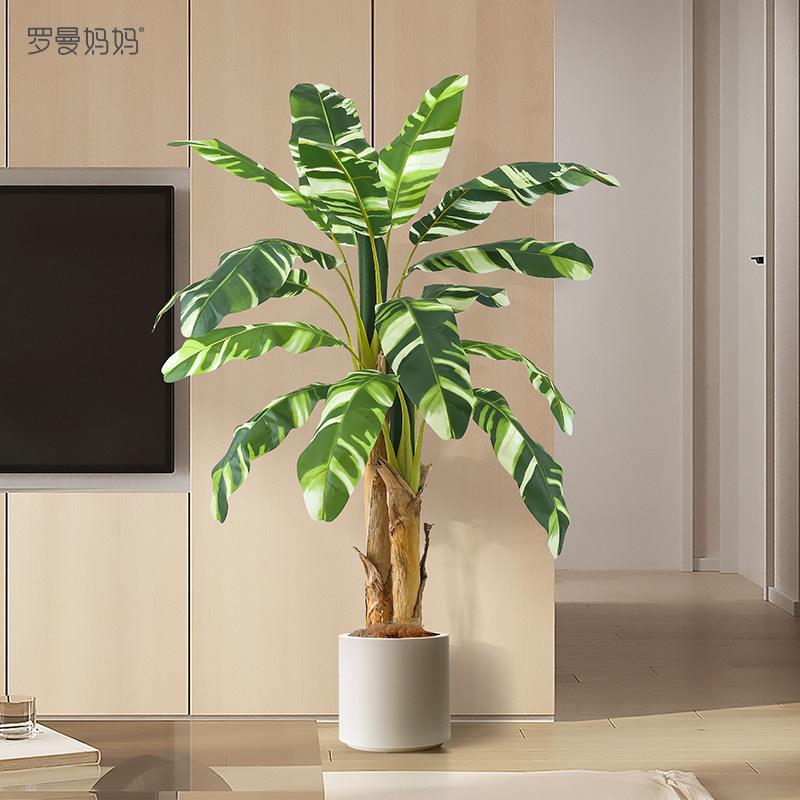 彷真绿色植物芭蕉树高级感热带雨林风盆栽彷生植物大型室内落地摆