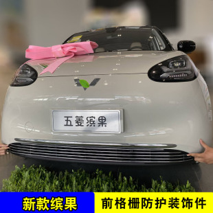 饰条 五菱缤果中网改装 前脸专用汽车用品防虫网配件亮条防护前杠