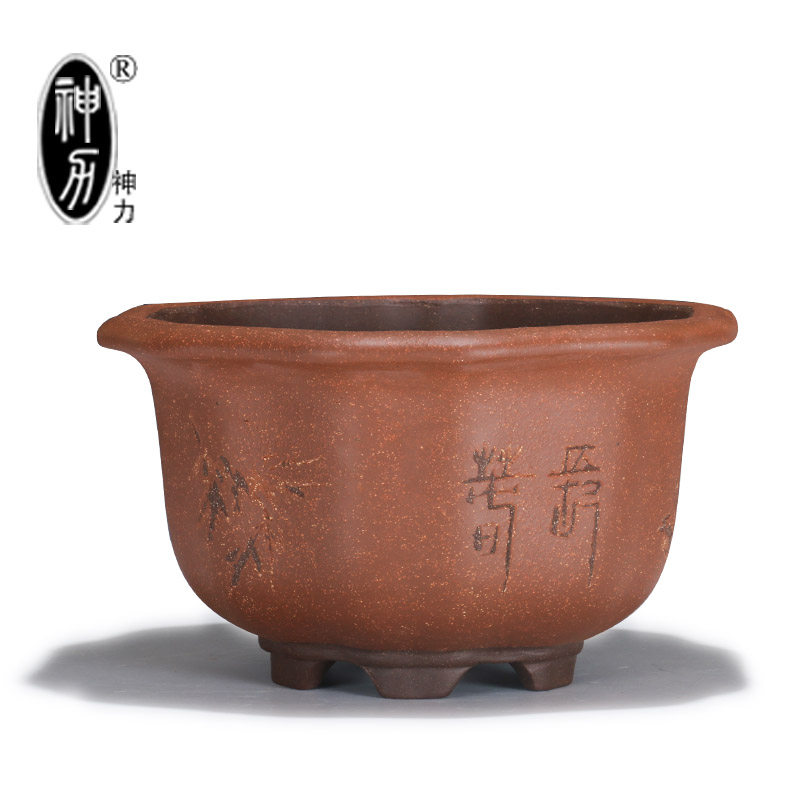 宜兴紫砂陶瓷造型花卉绿植园艺盆景盆仿古葵式树桩盆兰花花盆,鲜花速递/花卉仿真/绿植园艺,花盆,淘宝优惠券,粉丝福利购,淘宝优惠卷