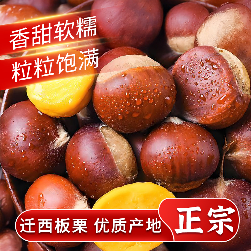 2025现挑精选正宗迁西板栗生新鲜河北3113毛栗子燕山野生大油栗粟