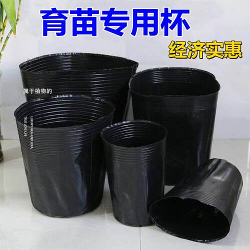 营养杯育苗杯一次性加厚营养袋育苗袋大号种植西瓜杯育苗盆营养钵