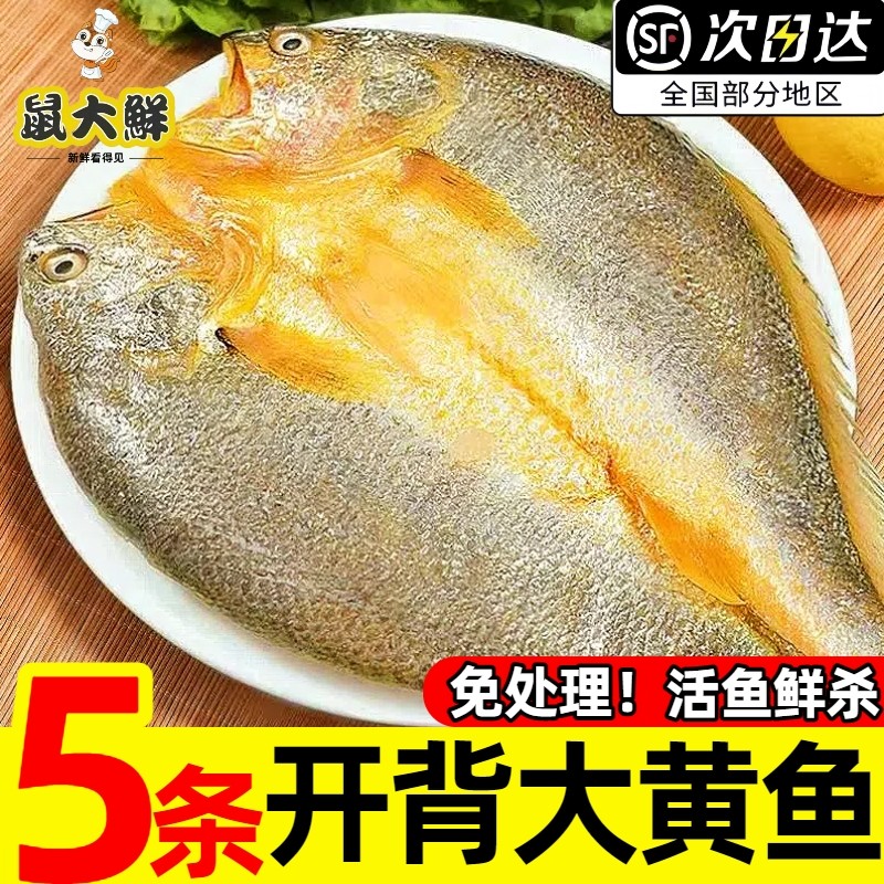 开背大黄鱼三去开背新鲜冷冻黄鱼鳖黄花鱼大黄鱼生鲜海鱼商用批发,水产肉类/新鲜蔬果/熟食,黄鱼,淘宝优惠券,粉丝福利购,淘宝优惠卷