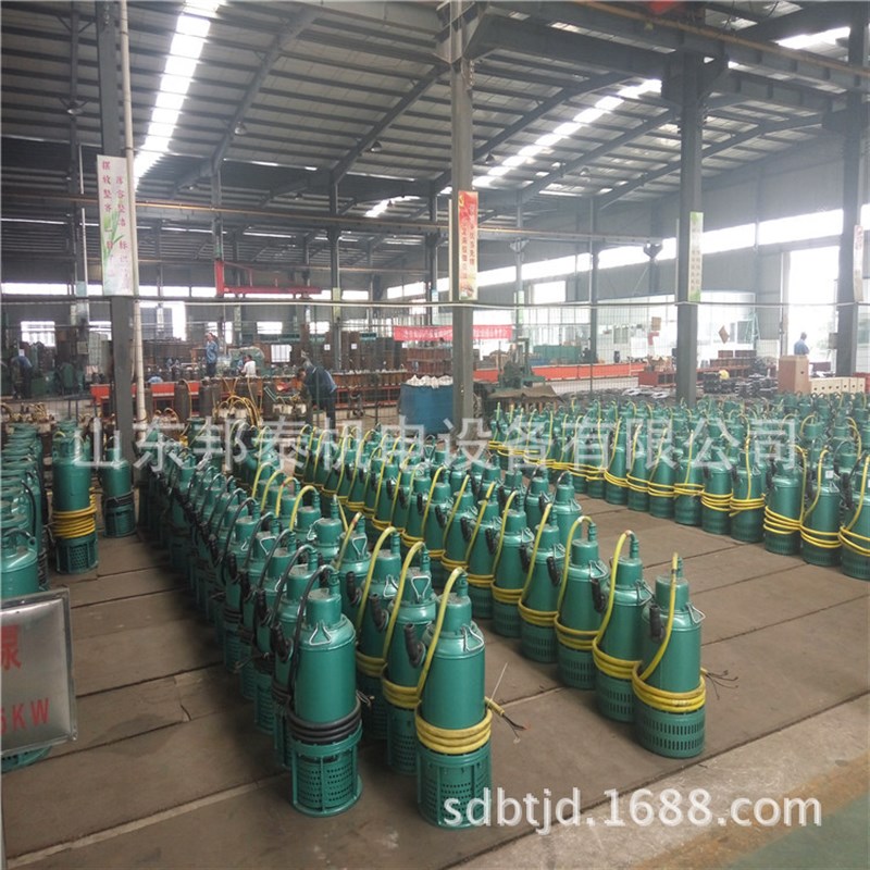 BQS100-20-114潜水泵 BQS排沙泵 污水泵 BQS污水泵矿用排沙泵