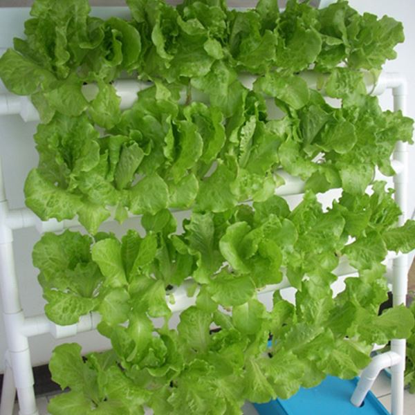 供应立体花架 水培蔬菜  阳台管道无土栽培种植机 花盆架子