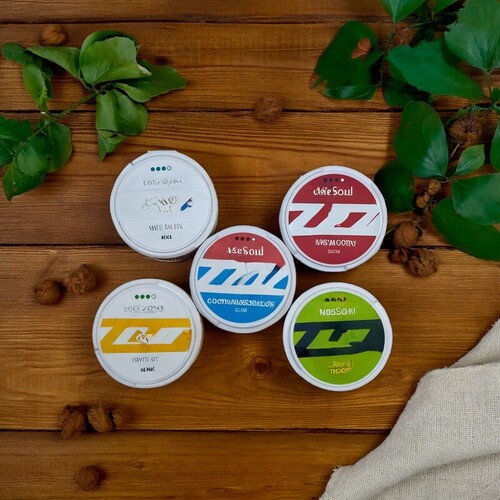 新款snus velo口含袋VELO系列平替ZYN snus唇袋盒子携带飞机高铁
