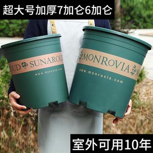 七加仑花盆大型室内盆栽植物花盆高颜值家用花盆大绿植客厅大号