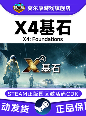 Steam游戏 X4 基石 X4: Foundations 国区激活码CDKey PC正版游戏