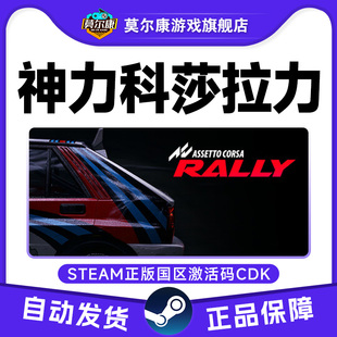 神力科莎 Rally 国区激活码 PC游戏 Steam CDK 神力科莎拉力